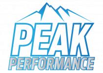 PP-logo